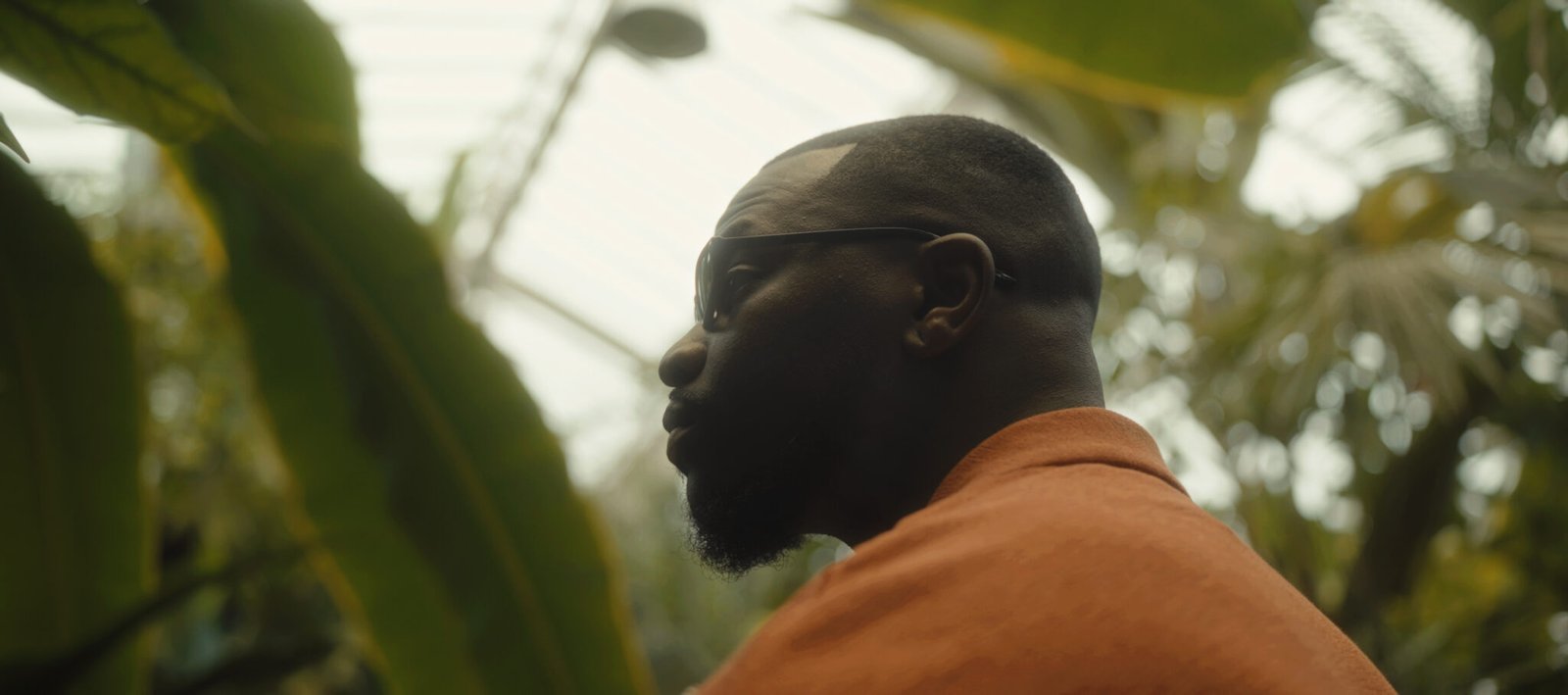 MONTAGE 2.00_00_09_07.Still001