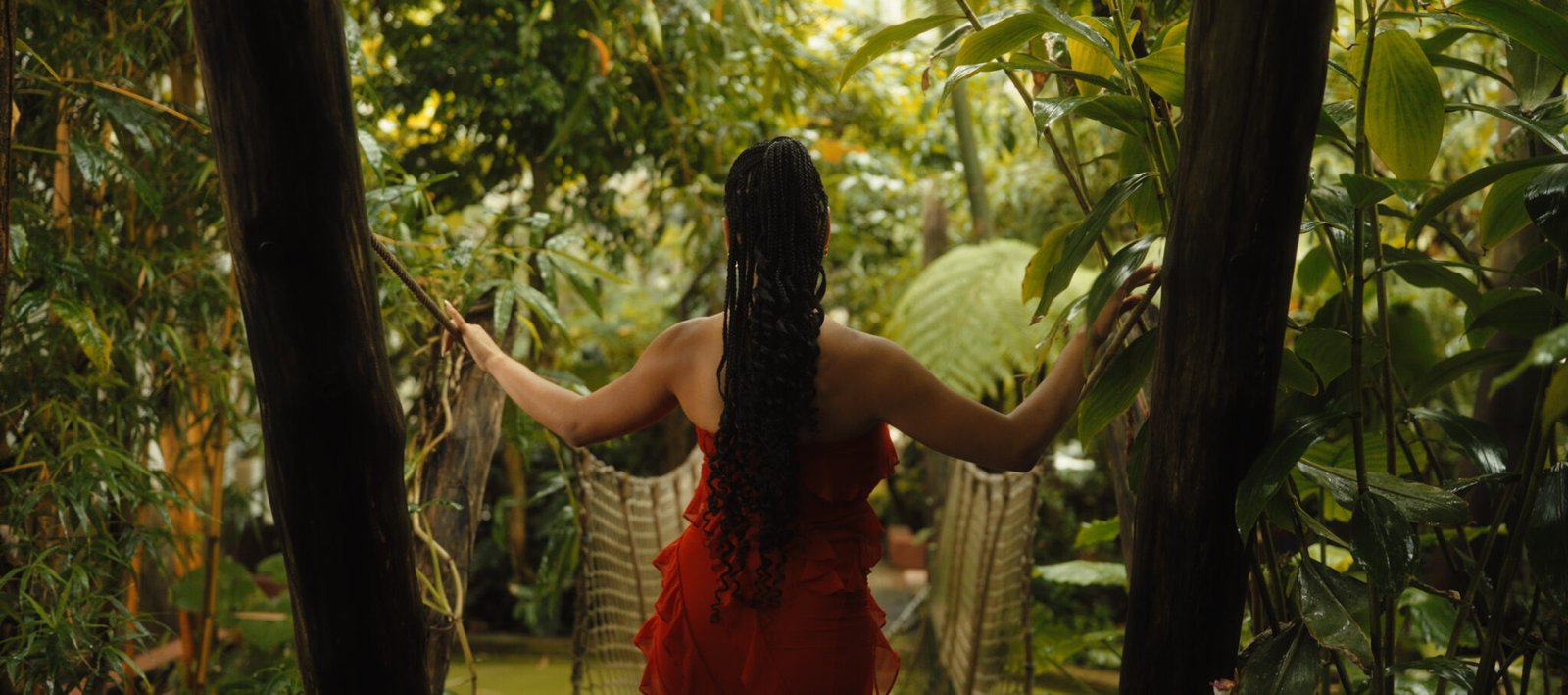 MONTAGE 2.00_00_22_05.Still003