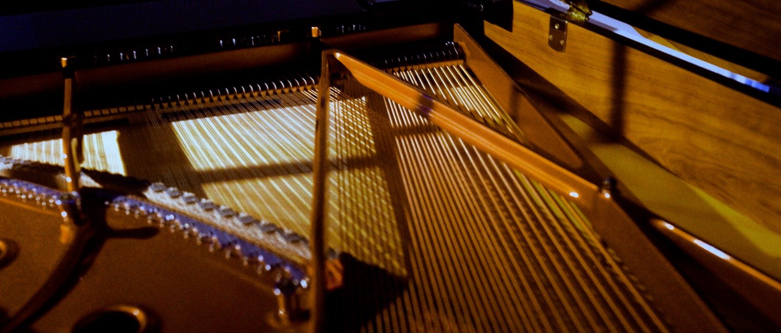 WhatsApp Image 2024-09-20 at 17.13.20 (8)