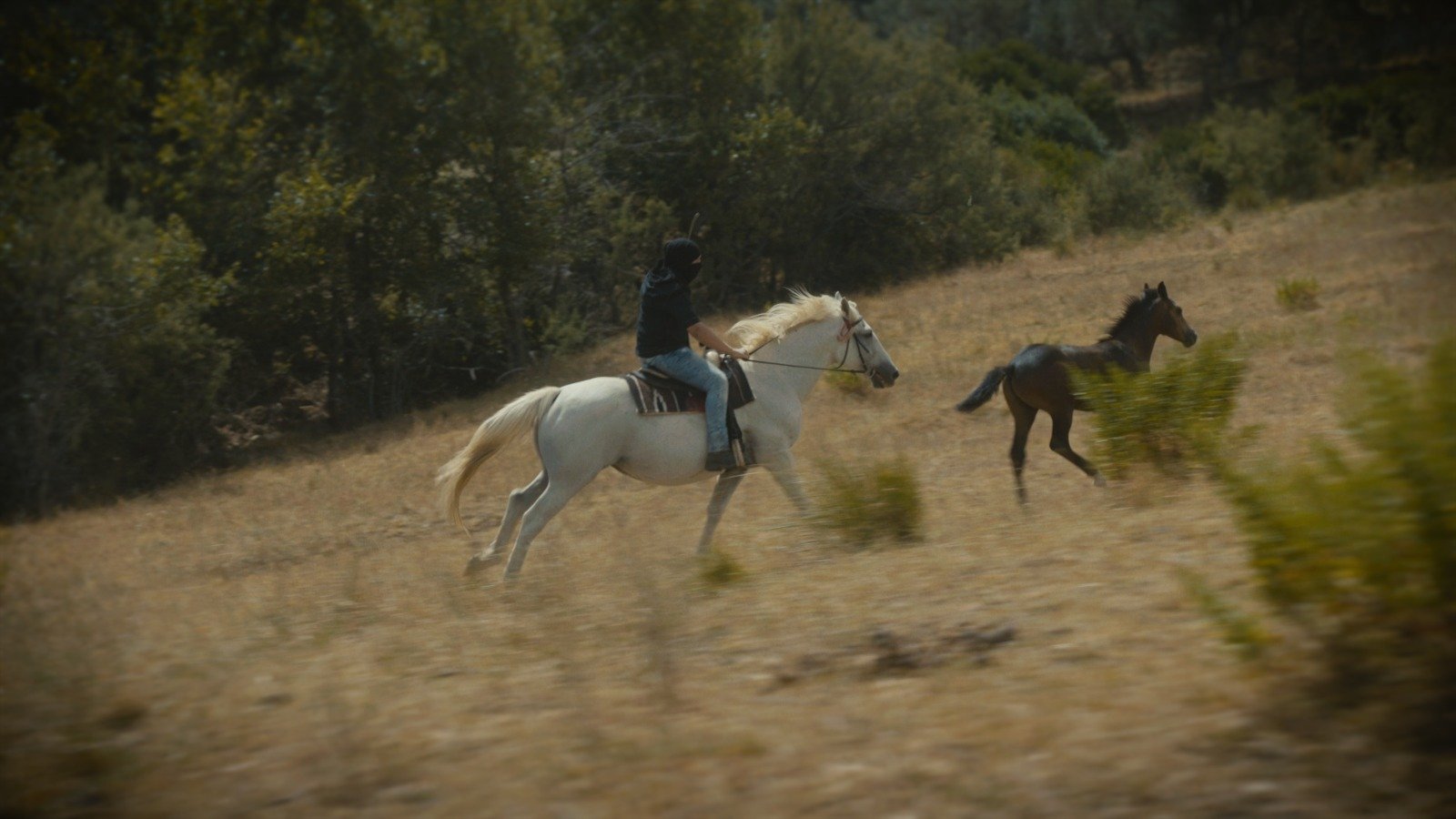 WhatsApp Image 2024-09-25 at 08.47.31 (17)