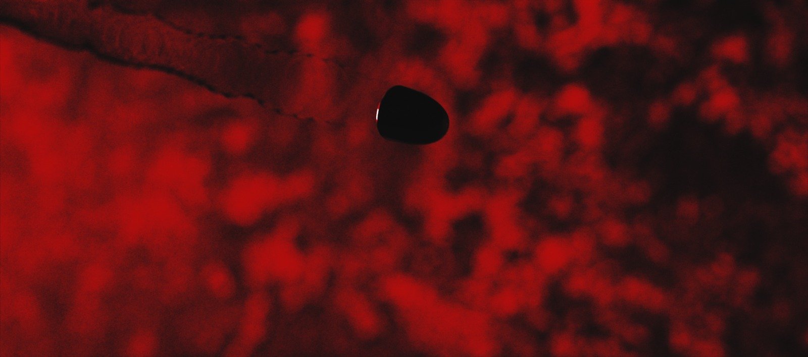 WhatsApp Image 2024-09-25 at 09.23.17